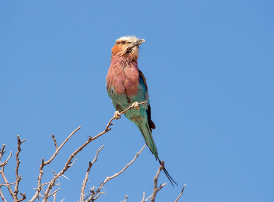 Visual guide: AI certification worth it? ROI Guide for US Professionals