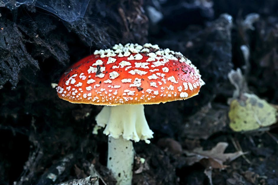 Visual guide: AI Salary Guide: Maximize Earnings in AI